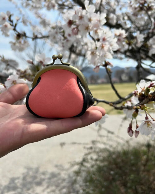 桜色のがま口ですの写真1